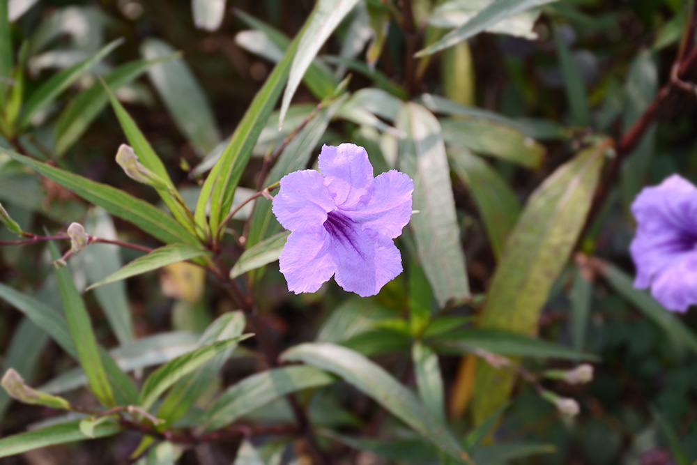 J9国际厅(中国)-官方网站